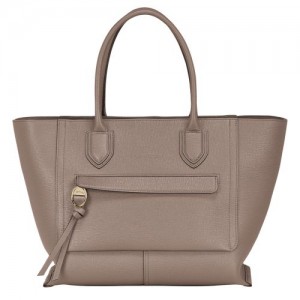 Longchamp Mailbox Top handle bag L Taupe | HZVMDKJ-25