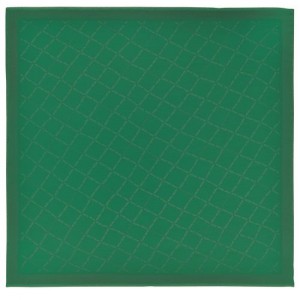 Longchamp Shawl Green | EDKFYRJ-23