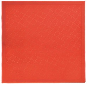 Longchamp Shawl Orange | RSMEIVU-34