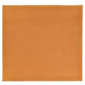 Longchamp Shawl Saffron | AXJIYGP-60