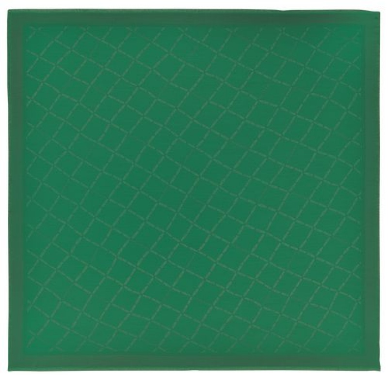 Longchamp Shawl Green | EDKFYRJ-23